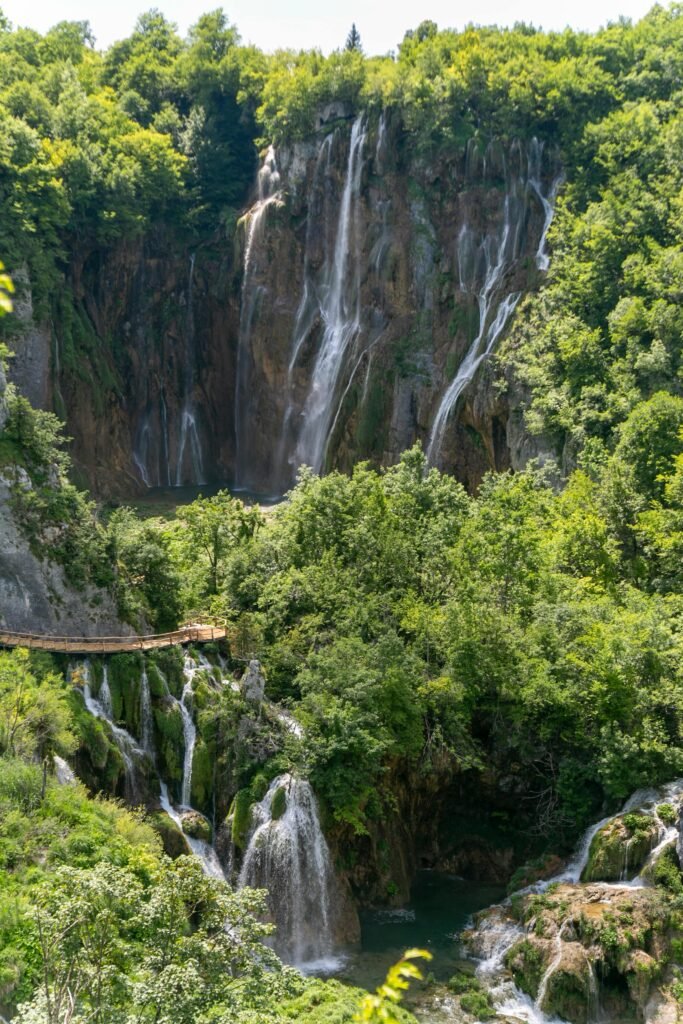Eco-Tourism