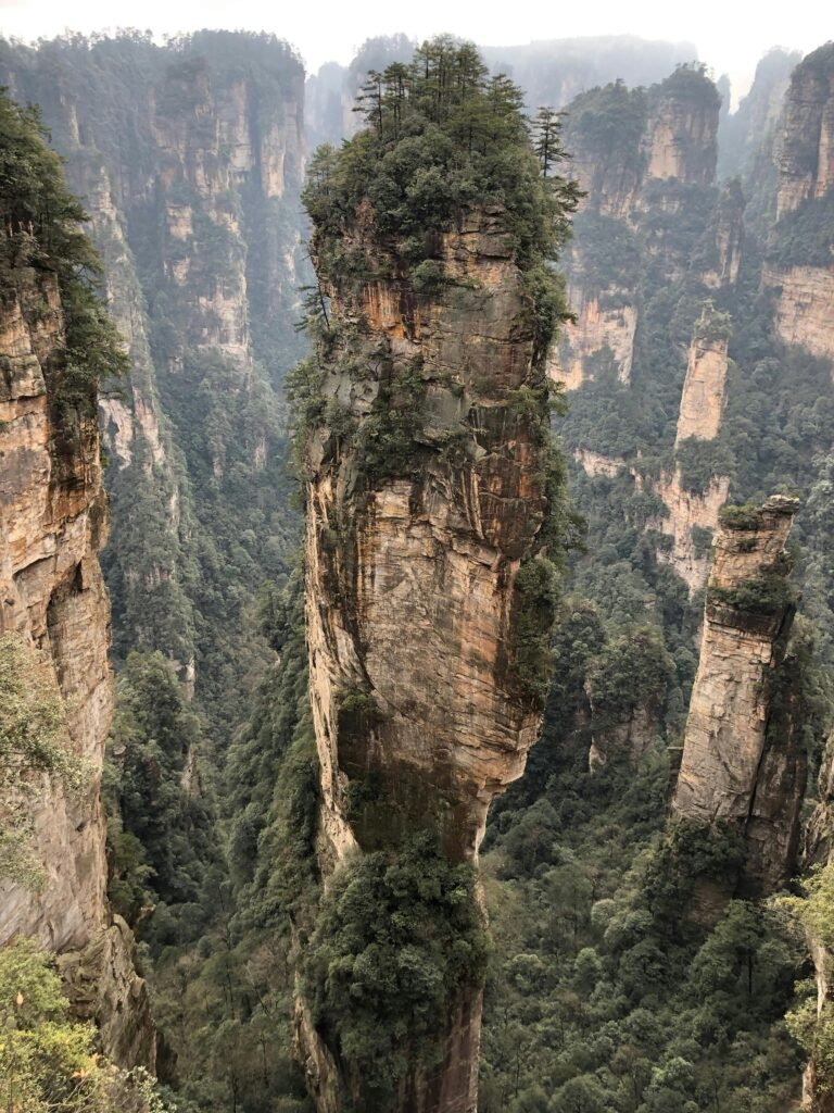 Eco-Tourism