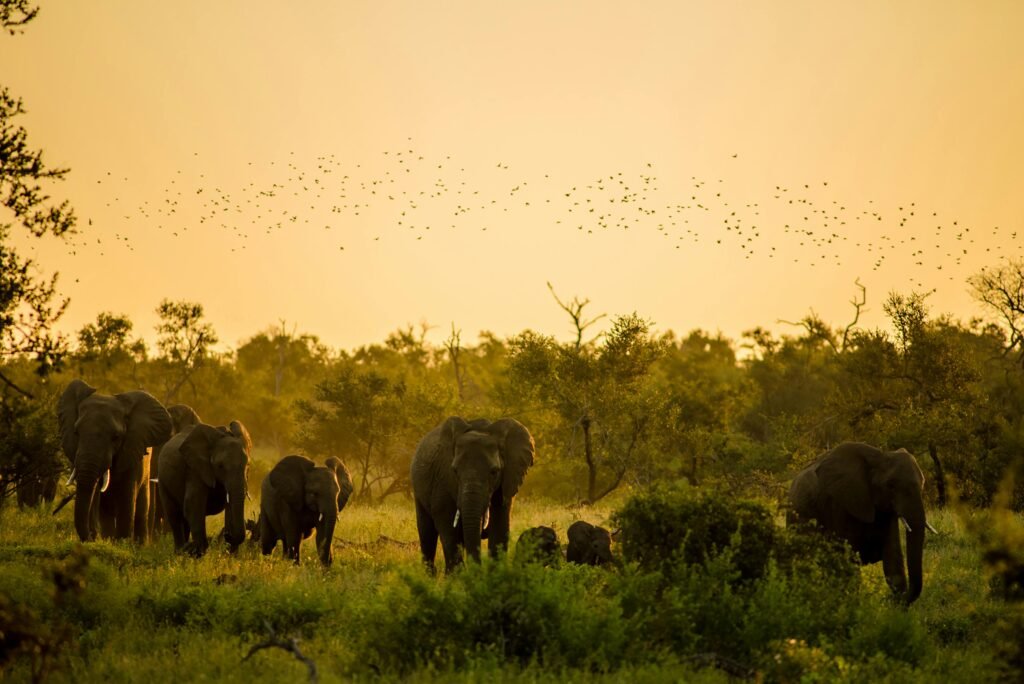 Eco-Tourism